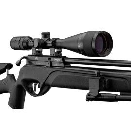 GAMO - Pack carabine  HPA PCP + 6-24x50 + silencieux + bipied 