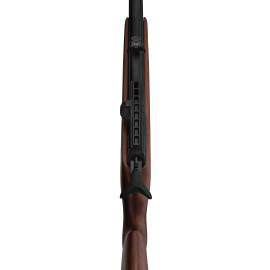 GAMO - Carabine PCP  RISER Punisher calibre 5,5 mm 40 Joules 